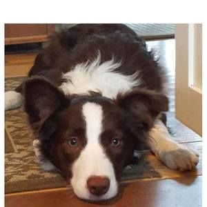 Meet your Posher, Wendy